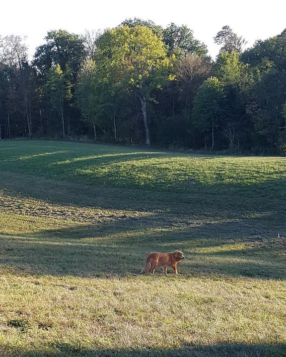 Golfclub Rheinblick